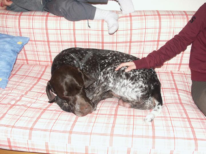 2002-01 1er an 042.JPG